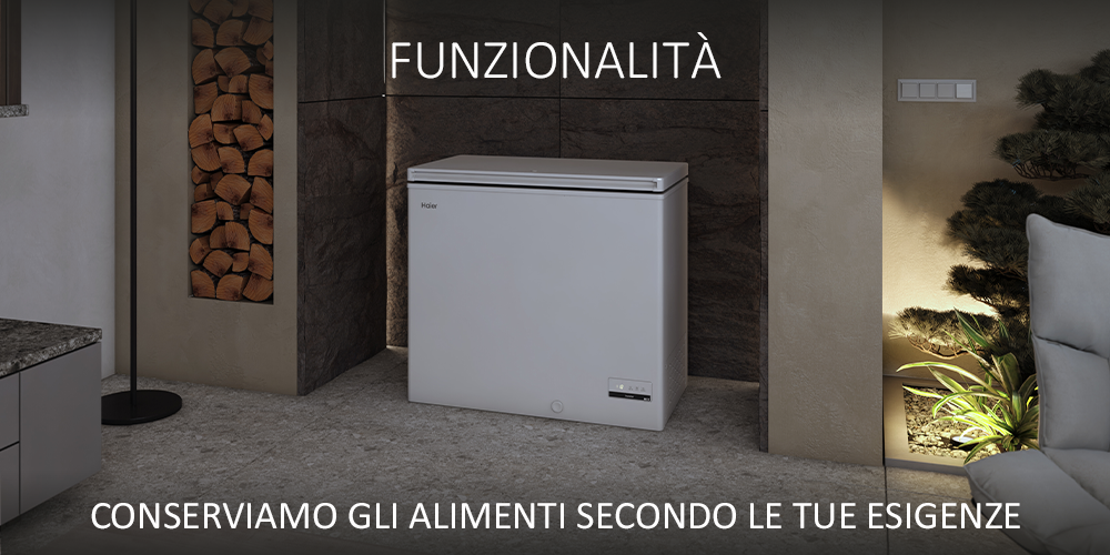 Acquista i congelatori Haier